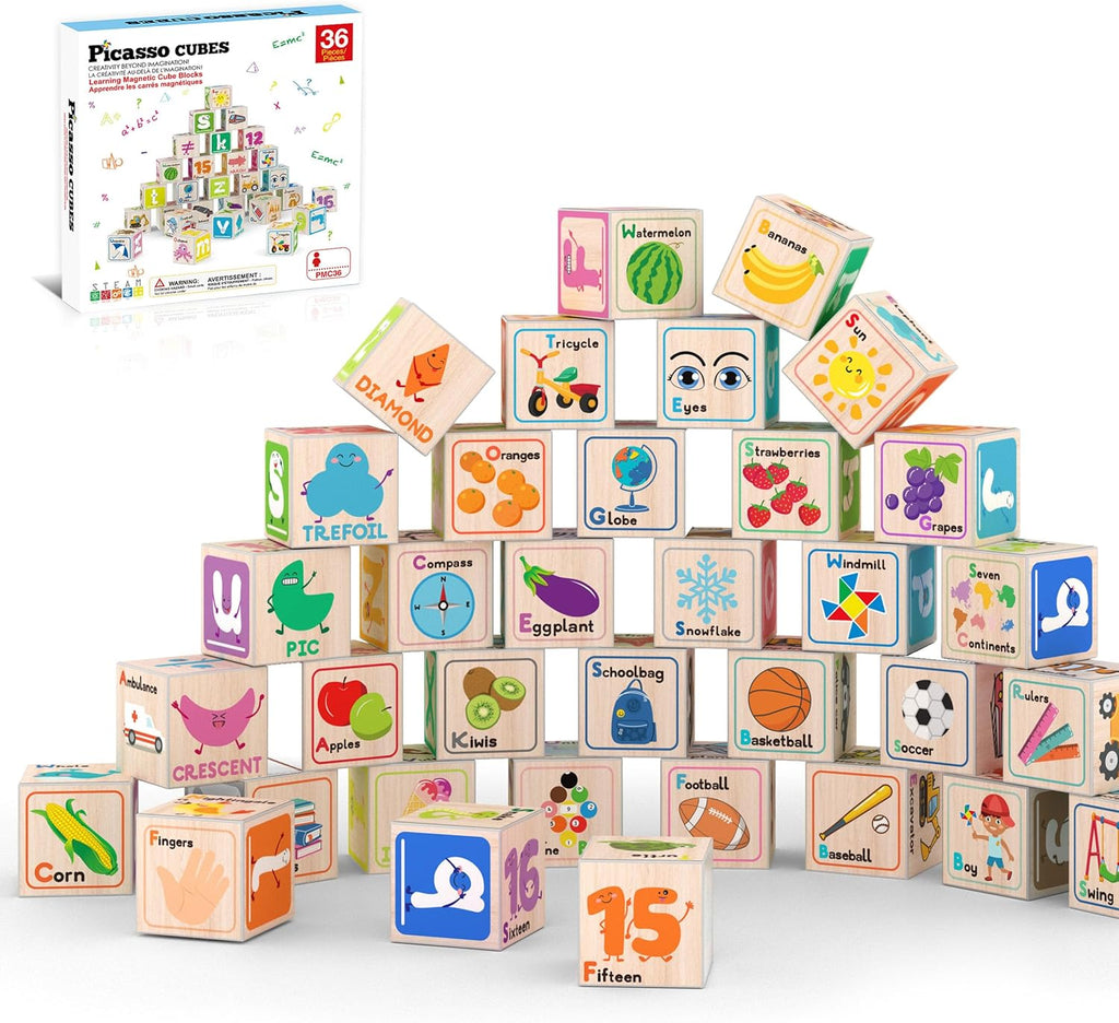Picasso 36pc magnetic educational cube