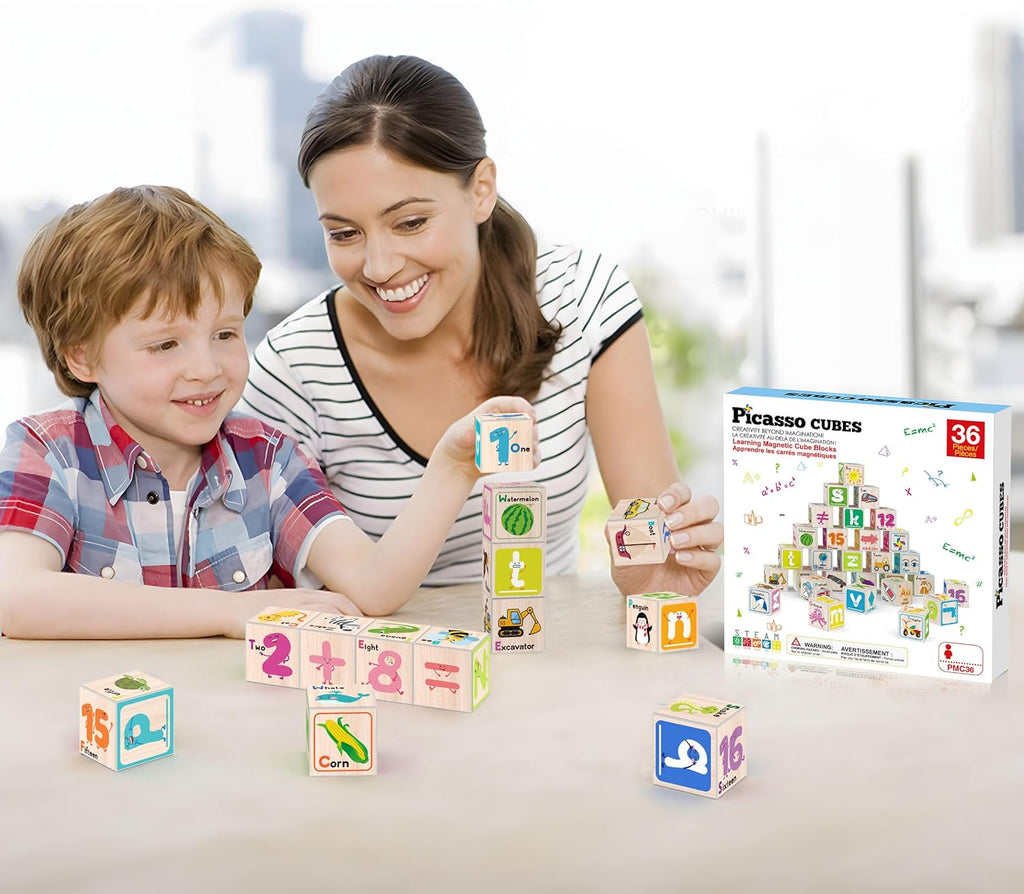 Picasso 36pc magnetic educational cube